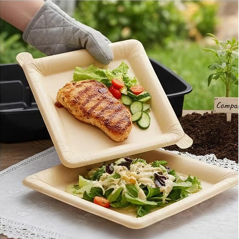 20 قطعة من الأطباق الورقية الق - مراجعة Camping Cooking Disc وسعره
